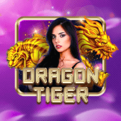 Dragon Tiger Casino Plus