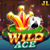 Wild Ace Casino Plus